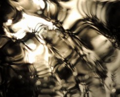 a0960_005893