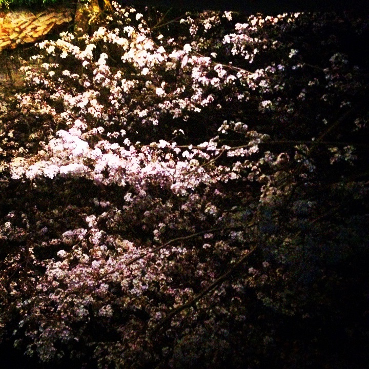 あんしん生活 Com