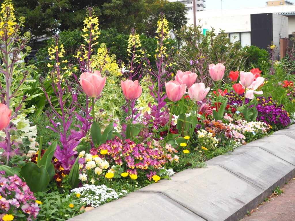 箱崎公園の花壇